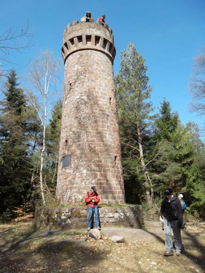 Le Gite Des Sources: Nature, Randonnees, Detente. Oberbronn Exterior foto